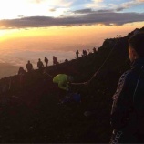 『富士山(林慎也)』の画像