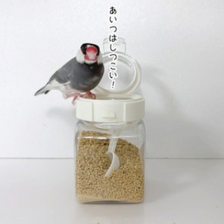 ブンチョ日誌