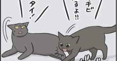 毎日が発見ネット掲載のお知らせ