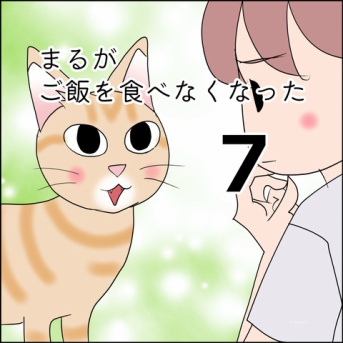 まるがご飯を食べなくなった７