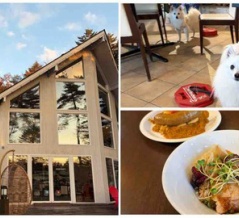 ドッグデプトガーデン軽井沢店 犬同伴可レストラン