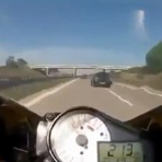 299 にーきゅうきゅう