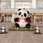 自由に生きる〜日本才能学研究所オフィシャルブログ*:.｡.ღ˘◡˘ற♡.｡.:*･ﾟ