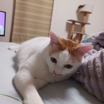 広島BayStyle（スミちゃんの釣り日記）