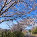 独り占め　贅沢な時間