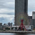 ミッフィーアフタヌーンティーに行ってきました