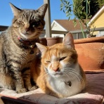 だいじろう日和。