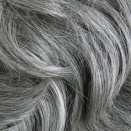 白髪を黒髪に戻す？注目の植物成分「ルテオリン」と「ステルビン」