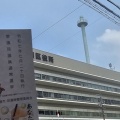 期日前投票　(*ΦωΦ*)にゃー
