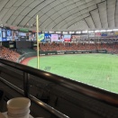野球観戦