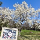 再開後は鳥撮で！