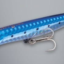 邪道 海辺の狩人