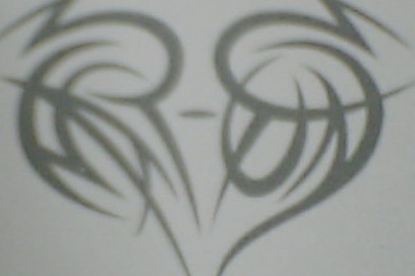 Butterfly 06年12月 2