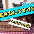 案件きたものの…。
