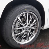 『【TANABE SSR VIENNA Mueller】TITAN SILVER』の画像
