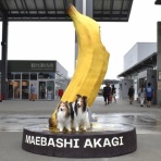 メロディ＆ミニーの写真館