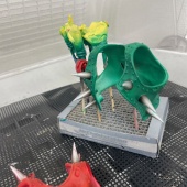 ���Ԥ��Ƥ�ޤ����ʤ�Ω�ƤФ��������