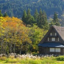 2025.11.14  一枚の彩時季