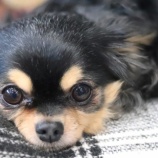 『ご挨拶、、、遅くなりまして』の画像