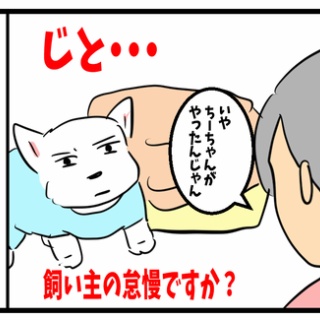 ちーちゃんっ🐾