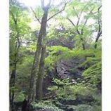 ���Ф������٤β���