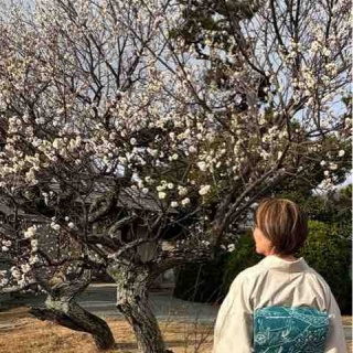 還暦着物好き日記