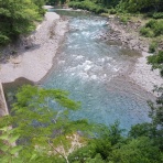 つり吉オヤジの日高川龍神鮎・あまご情報