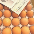 不登校365日24時間　フリースクール元気学園 ブログ