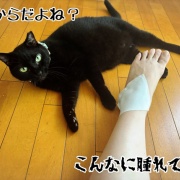 シュウさまはスイカ。