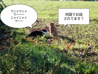 ちょっとそれは困る