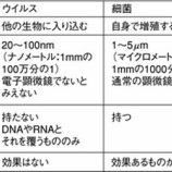 『ノロウイルスの真実 / 怖いのはノロウイルスではない』の画像