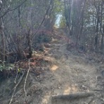 八重山うた大哲会　岡山支部　【八重山民謡　三線】