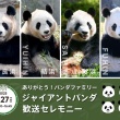 【動画】和歌山から返還のジャイアントパンダ中国で公開 「良浜」「結浜」「彩浜」