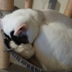 moroのハンドメイド