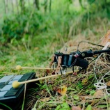 『キノコが奏でる音楽はこんな音楽らしい』の画像