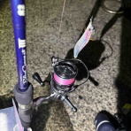 シーバス&ライトゲームな日々