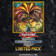 遊戯王　WCS 2025 　パリ　世界大会 エクゾディア　ジャケット　XL 遊戯王 WCS 2025 パリ 世界大会 エクゾディア ジャケット XL