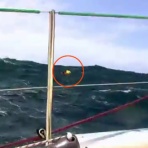 メダパニニュース