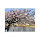 ���£�ǯ�ֹ��뤵����ޤĤ��