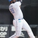 『2025パ・リーグ外国人打者』の画像