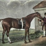 競馬ってやらない人から見てどんなイメージ？