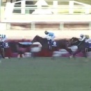 【競馬】種牡馬サートゥルナーリアの評価は？