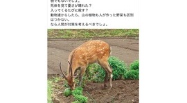 【ヘタレ】「畑の作物を食べられたから殺すって、感情論以外の何物でもないでしょ」→ツッコミ殺到してレスバに発展するも、言い返せなくなり感情論で勝利宣言して逃亡wwwww