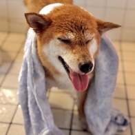 カメラ趣味の現在地