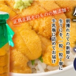 『ふるさと特産品　菊池商店の瓶入りうに』の画像