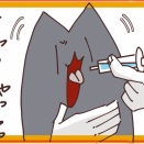 ねこちゃんと膀胱結石予防