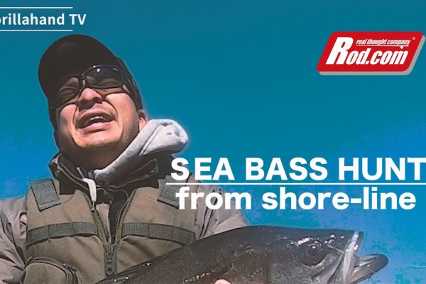 釣りつべちゃんねる シーバス