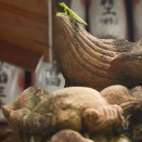 カマキリ