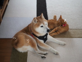 「まんざらでもない！」って思う理由