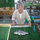 10月15日　筏釣り釣果
